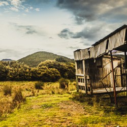 Rural abandoned shed in old rural countryside