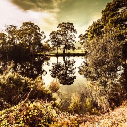 Huonville river reflections