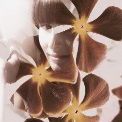 Stories of fleeting romance