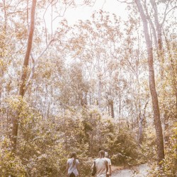 Touring Mt Walsh National Park