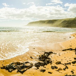 Tranquil Tasmanian beach paradise