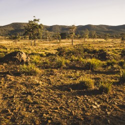 Idyllic rural Australia farmland 