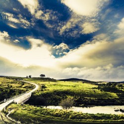 Journey through hills and valleys