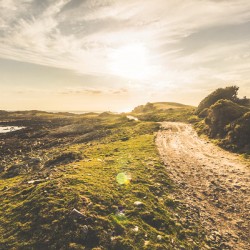 Routing western shores