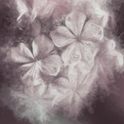 Fibonacci flowers in energy manipulation calculus