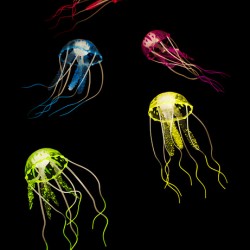 Colors of aquatic life