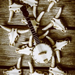 Playing up a country scene