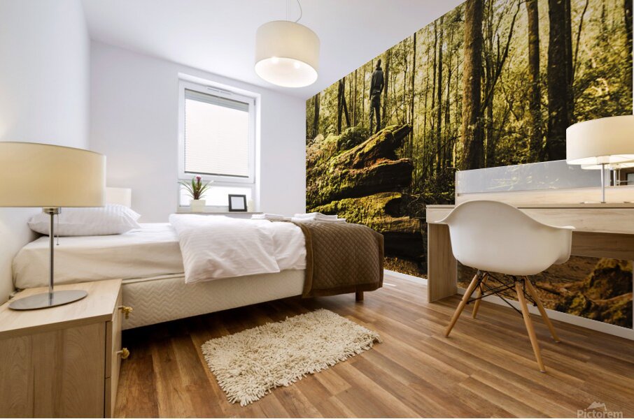 Tourist Hiking Mount Field Tasmania  Mural print