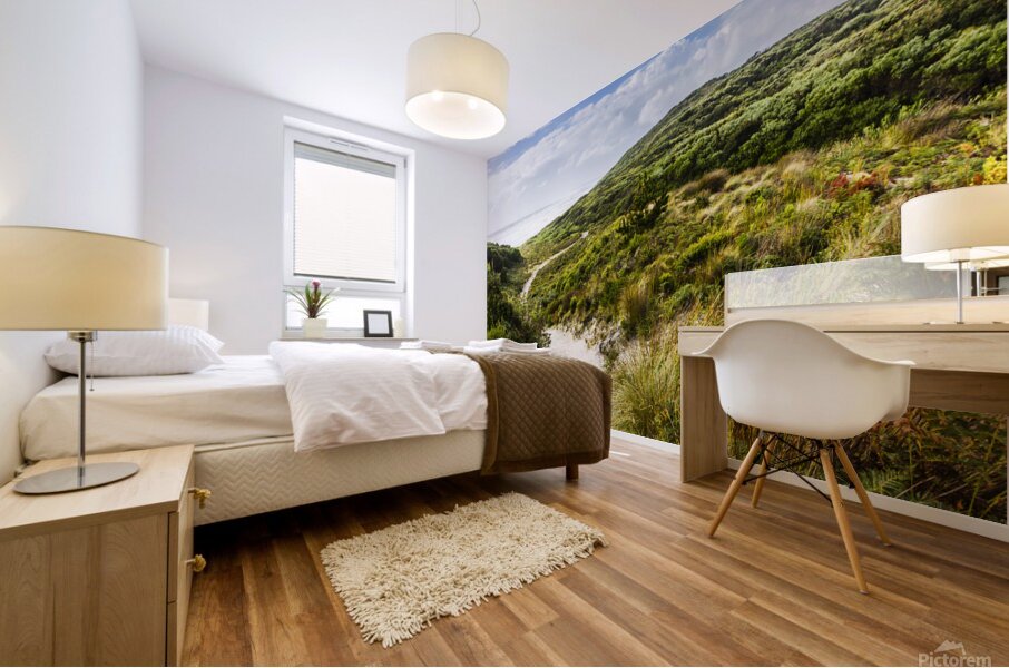 Sand dune path leading to Tasmania beach landscape Mural print