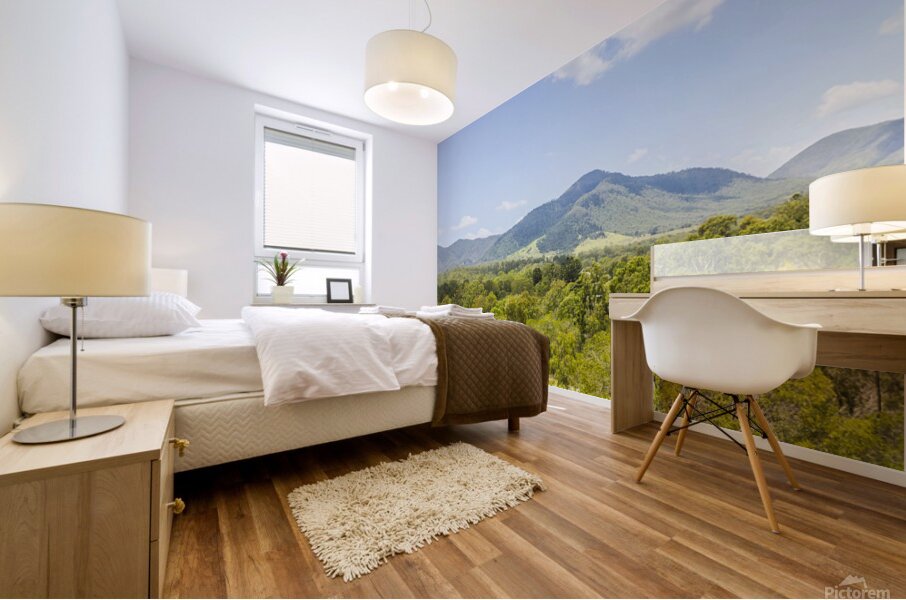 Vibrant valleys Mural print