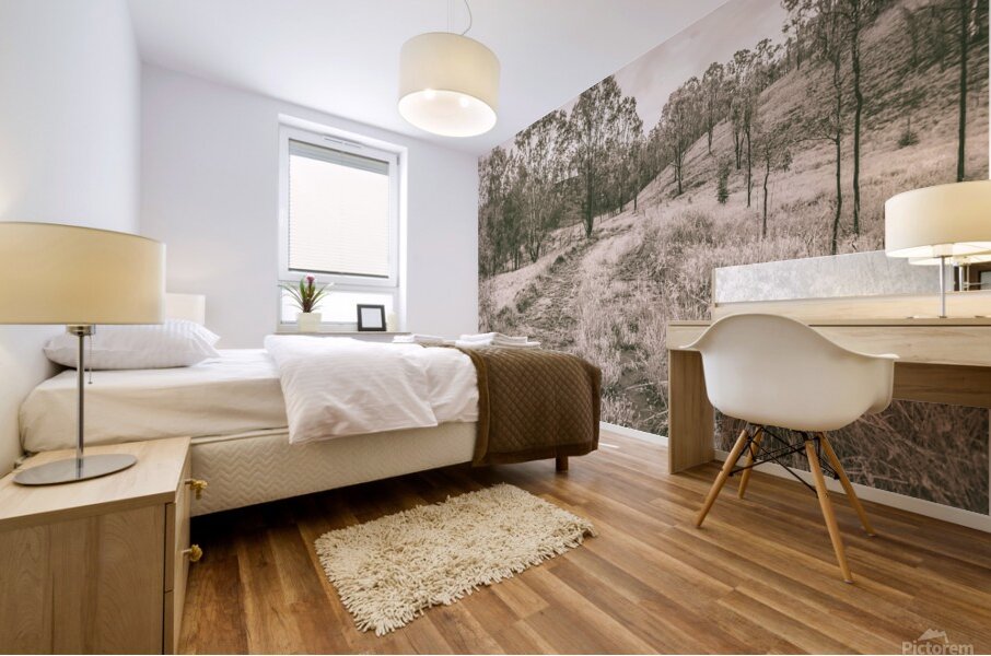 Way beyond outback Mural print