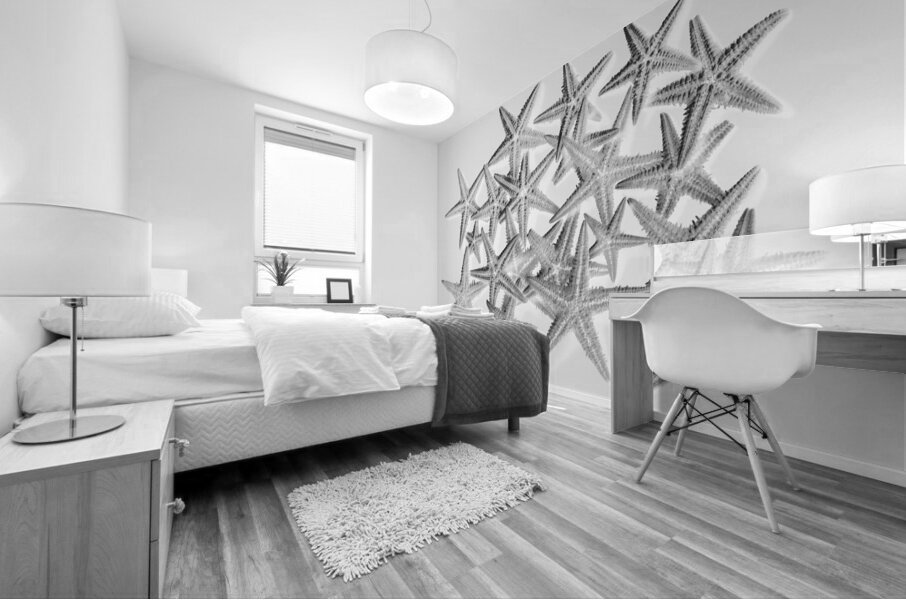 Sea staring Mural print