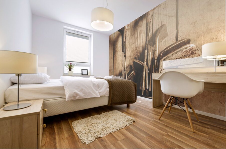 Sporting antiquity Mural print