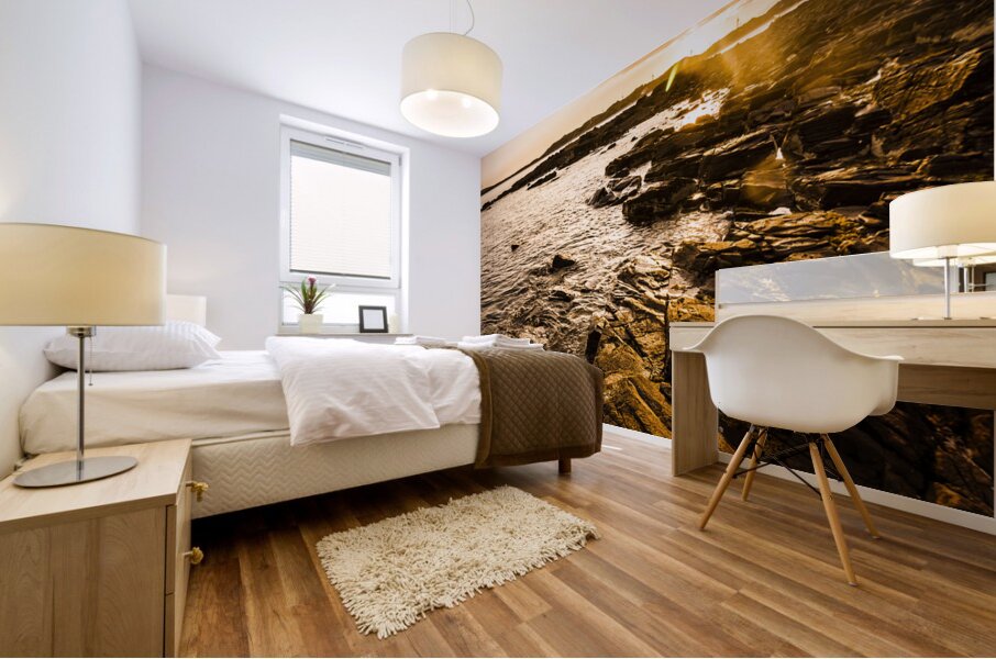 Cape Portland Tasmania Mural print