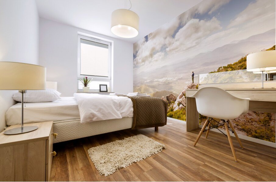 Scenic view of Mt Zeehan Tasmania Australia Mural print