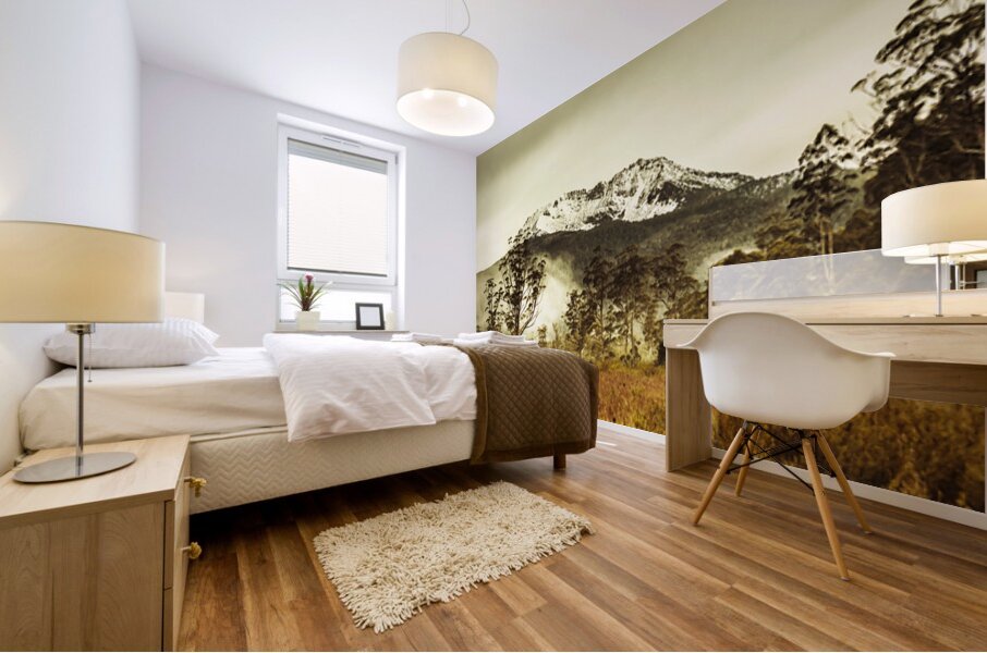 Ice covered mountain panorama in Tasmania Mural print