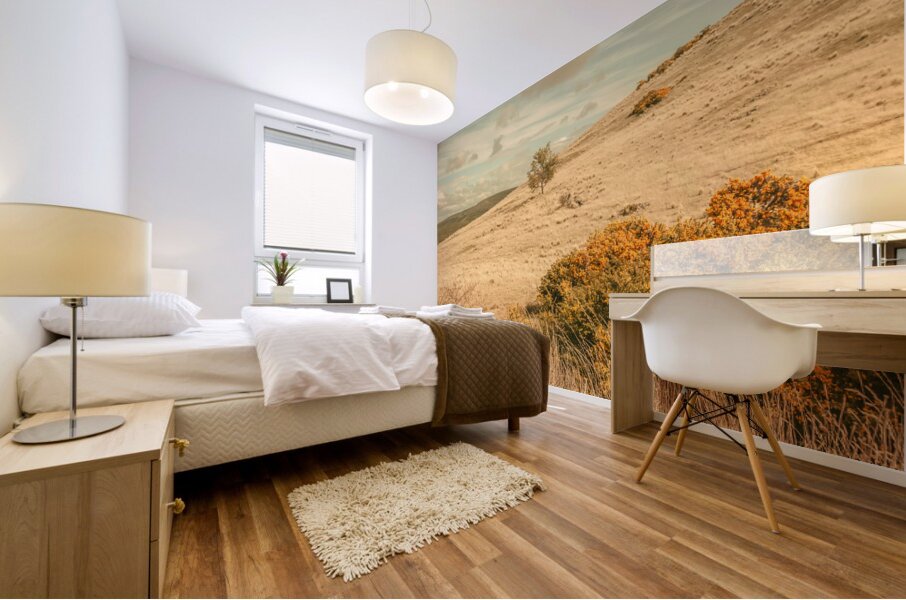 Country colours Mural print