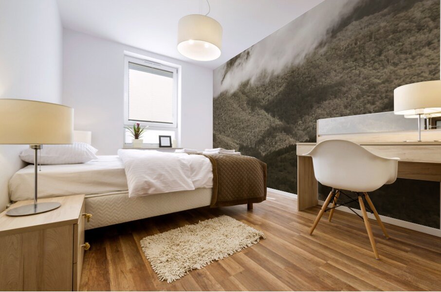 Oncoming rains Mural print