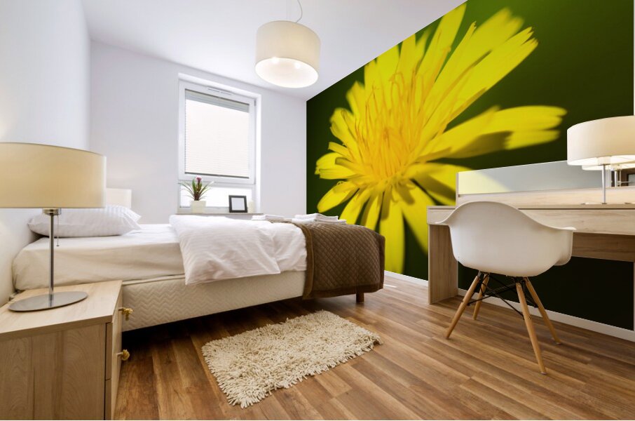 Dandelion Flower Mural print