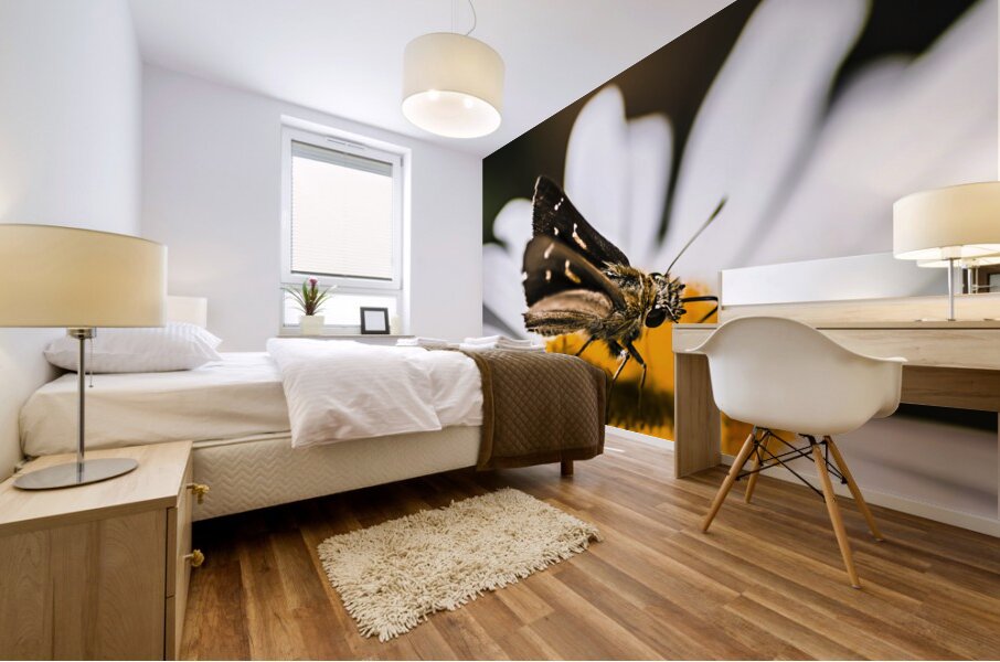 Moth insects on a bright and lush garden flower Mural print