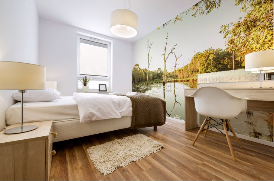 Still lake afternoon  Mural print