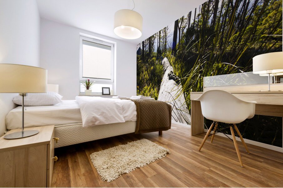 Explore tasmania Mural print