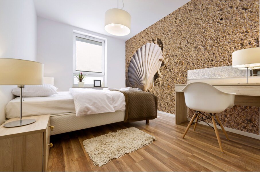 Sandy Shell Mural print