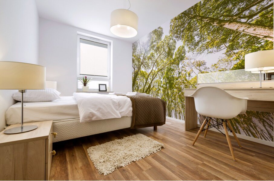 Country wide Mural print