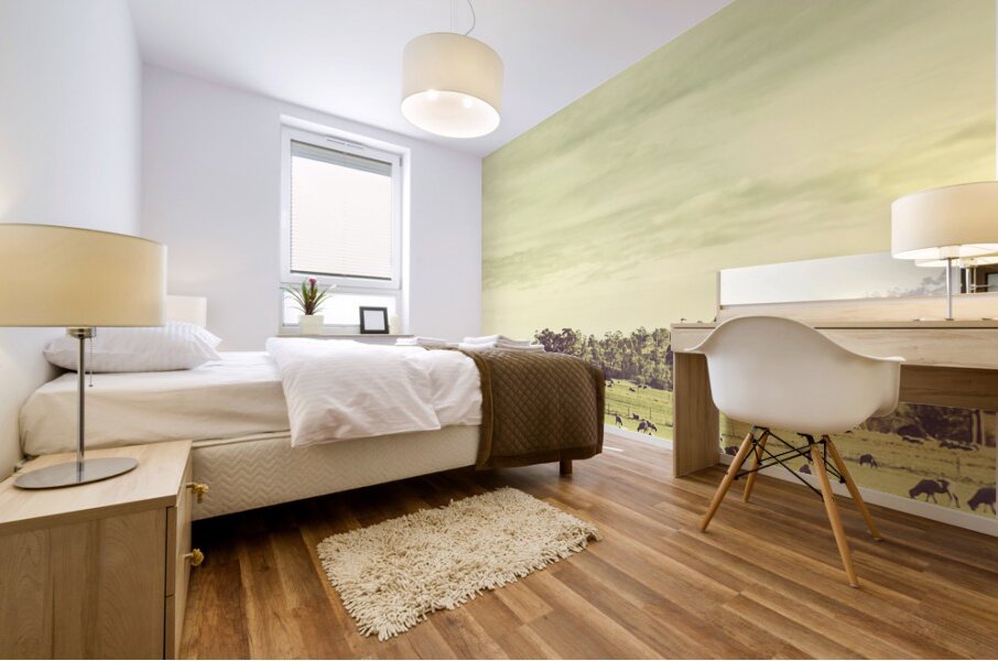 Sheep grazing in rustic Richmond Mural print