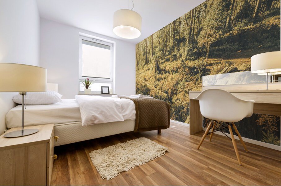 Tasmanian forest sunrise Mural print