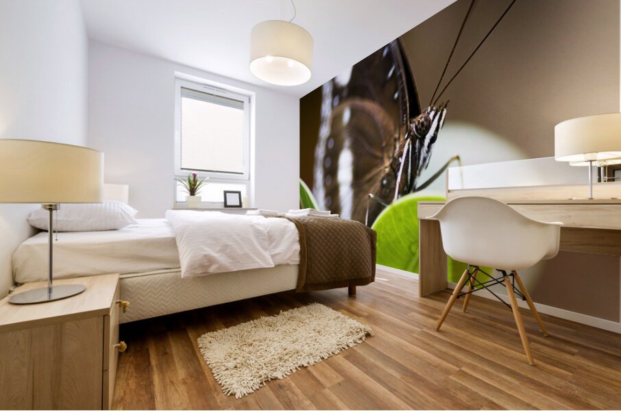 Beautiful Butterfly Mural print