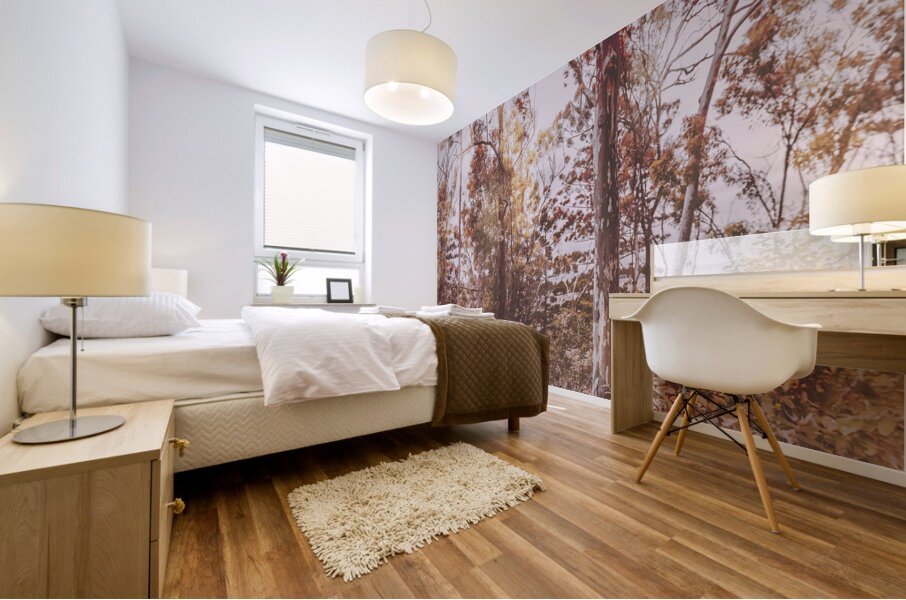 Backcountry colour Mural print