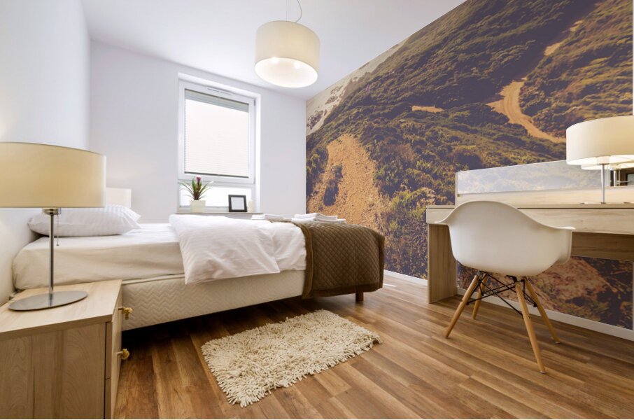 Remote coastal route Mural print