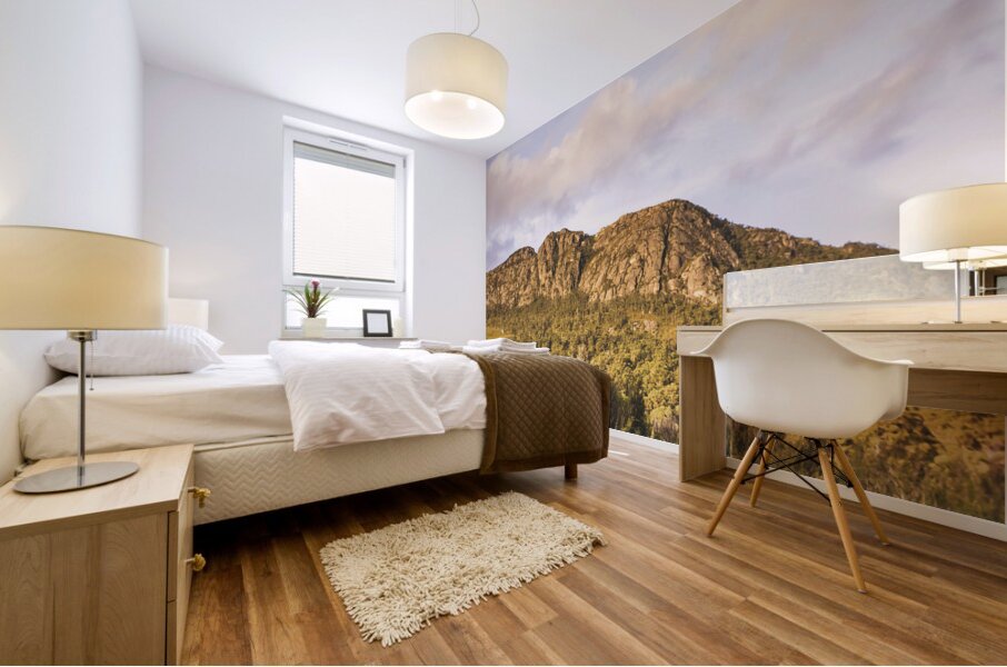 Western wilds Mural print