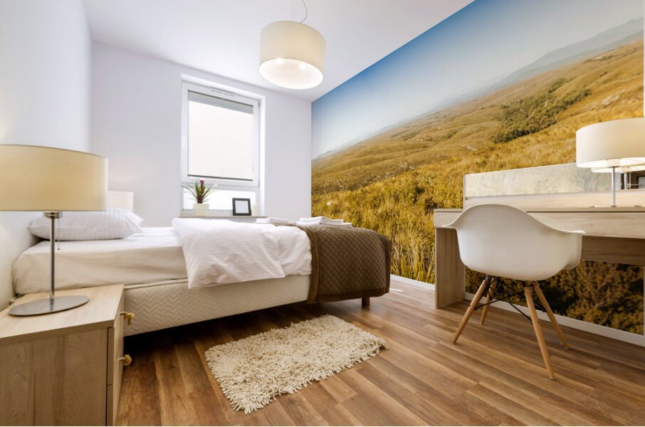 Plain plains Mural print