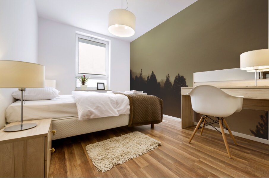 View of abandoned country road in foggy forest Mural print