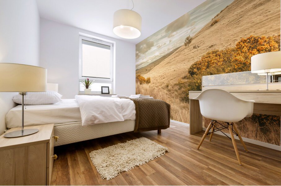 Meandering hills Mural print