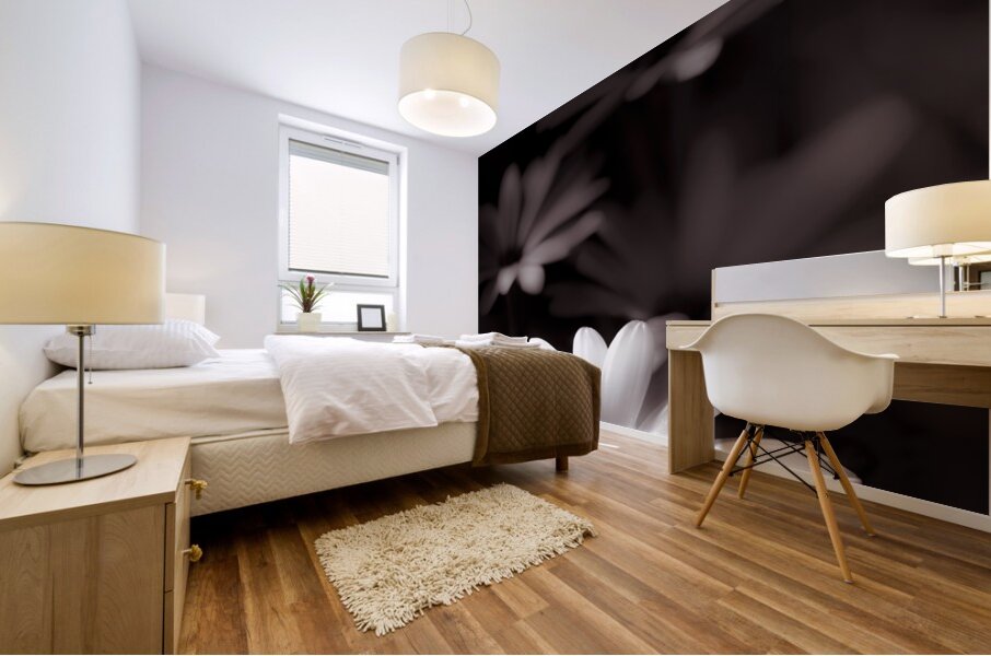 Field Of Daisies Mural print