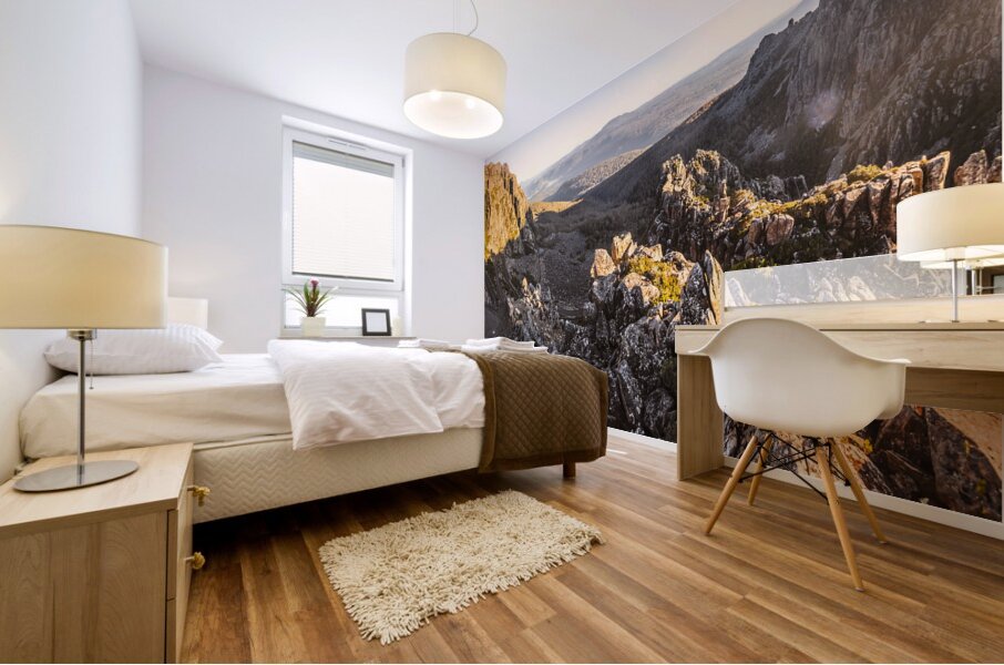 Ben Lomond National Park Mural print