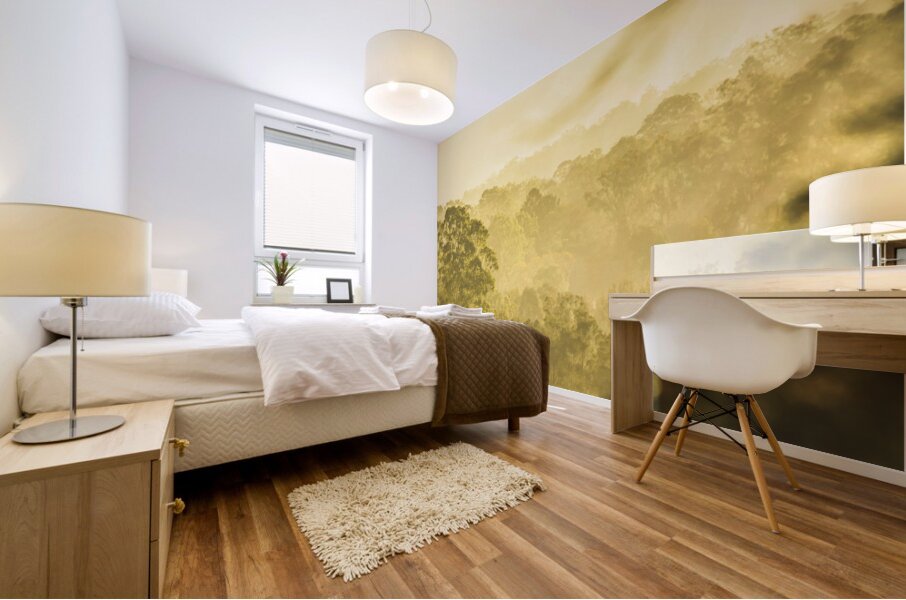 River Vista views Mural print