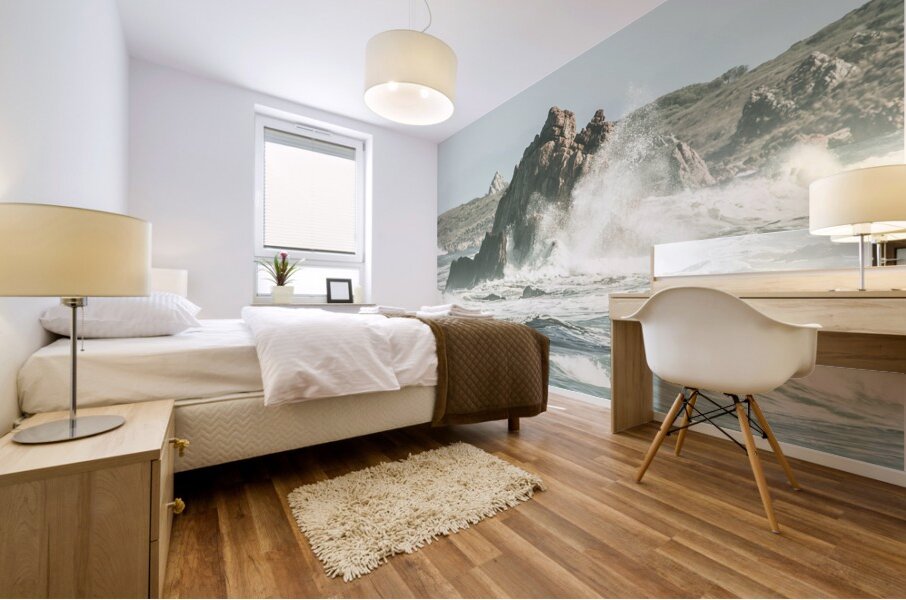 Aquatic spray Mural print