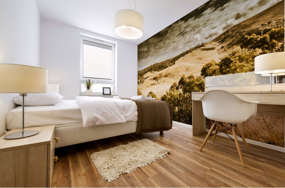 Fields of Jericho Mural print