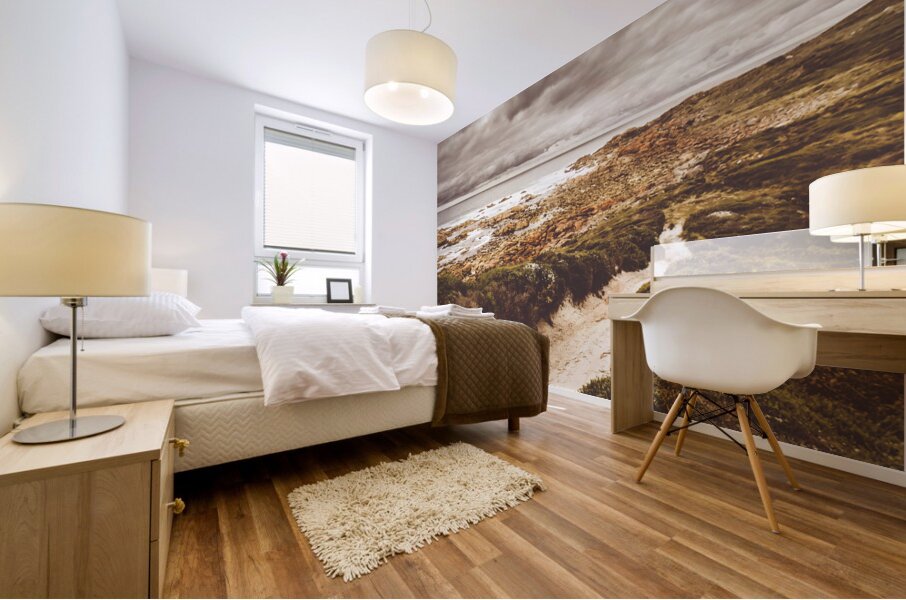 Pathways to seaside paradise Mural print