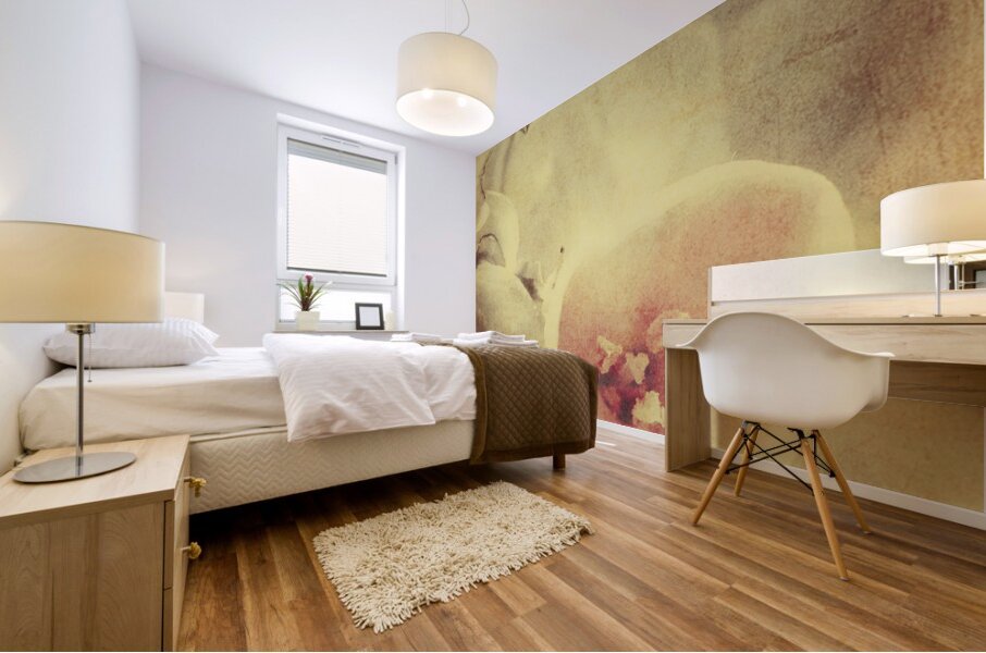 Weathered and faded daffodils Mural print