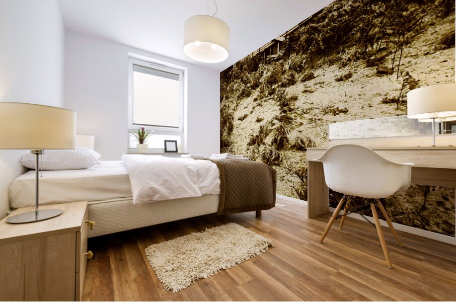 Rusty rural ramshackle Mural print