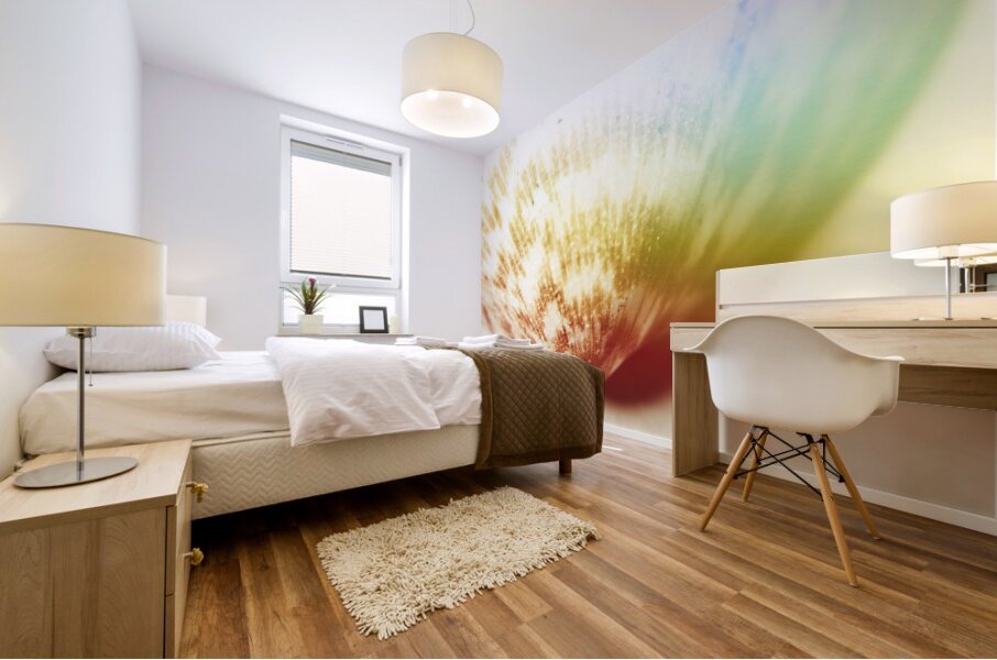 Colorful light flare over seashell Mural print