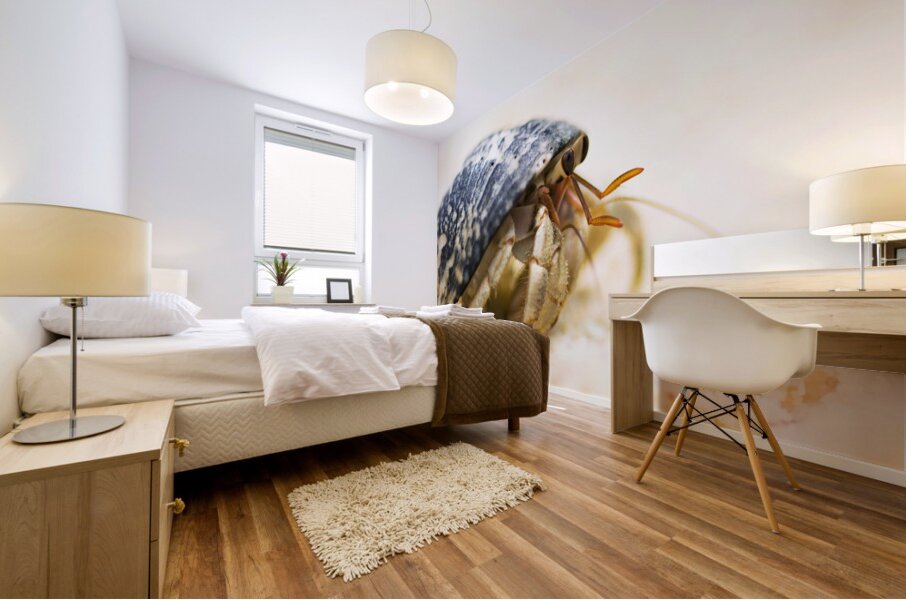 Harry Hermit Crab Mural print