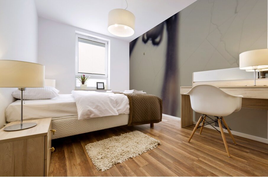 Caught in a web of entrapment Mural print