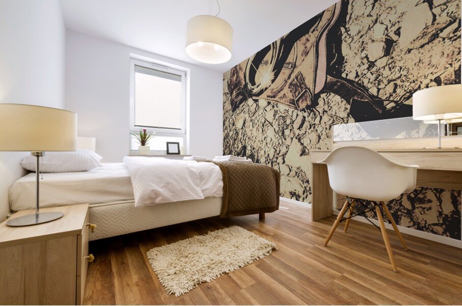 Pioneering aviation and travel Mural print