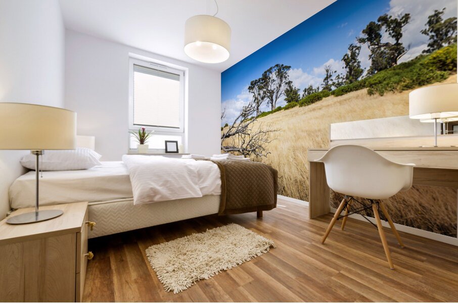 Australia summer landscape of rural Tasmania Mural print